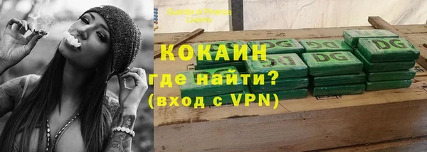 твердый Дмитров