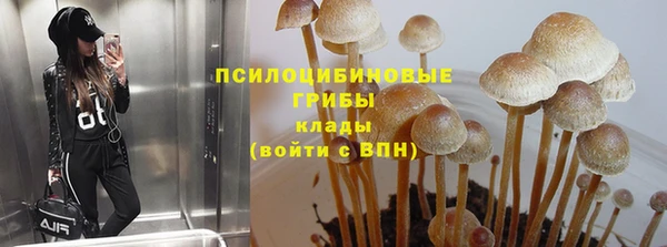 твердый Дмитров