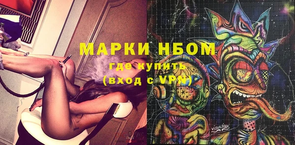 твердый Дмитров