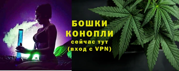 крисы Гусев