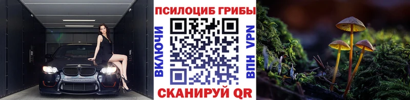 Псилоцибиновые грибы ЛСД  Купить закладки  Луховицы 